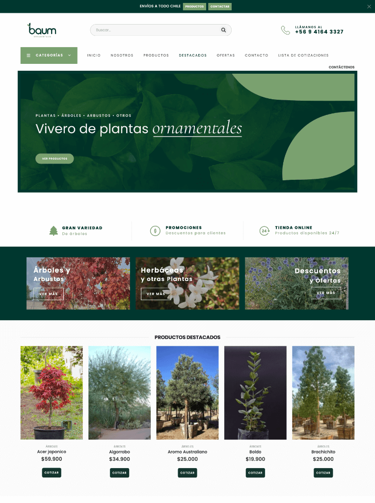 Baum Ornamentales
