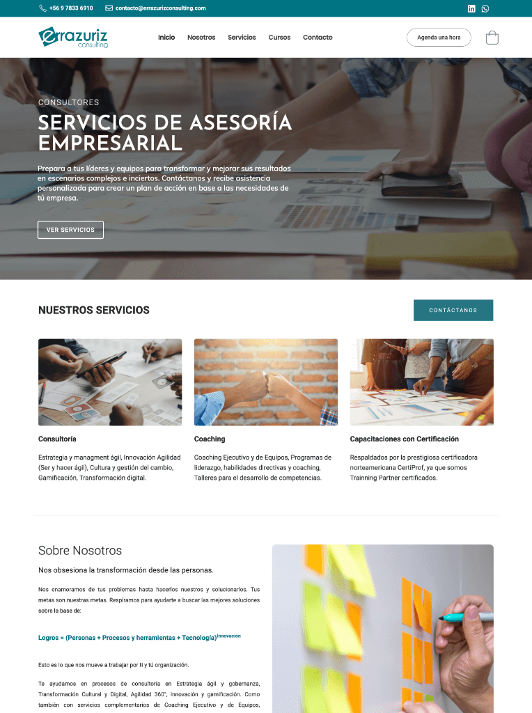 Errazuriz Consulting
