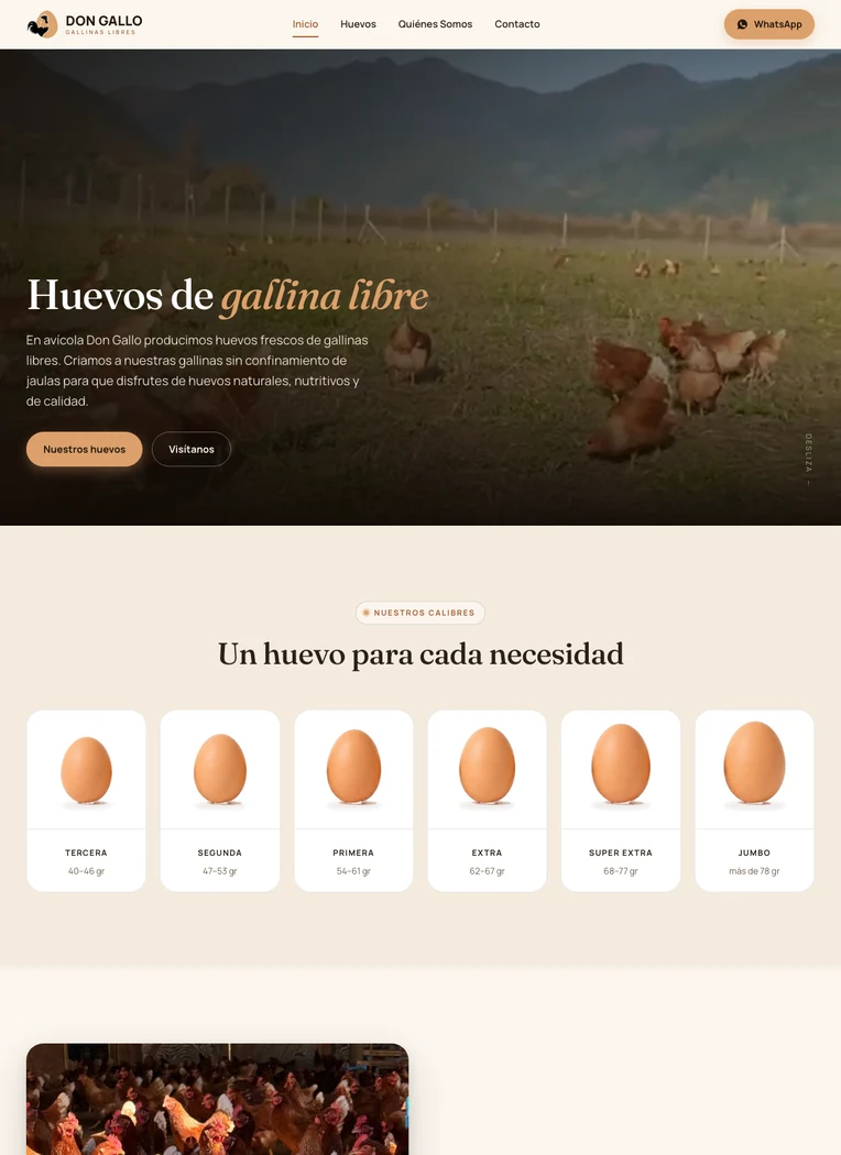 Huevos Don Gallo