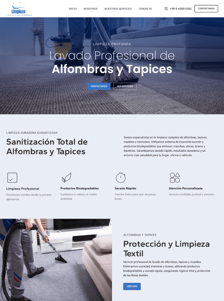 Lavado Alfombras y Tapices